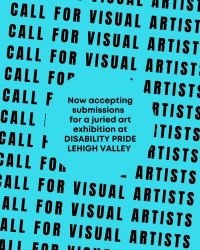 DPLV Visual Artist Open Call Decorative Image: black text on neon blue background